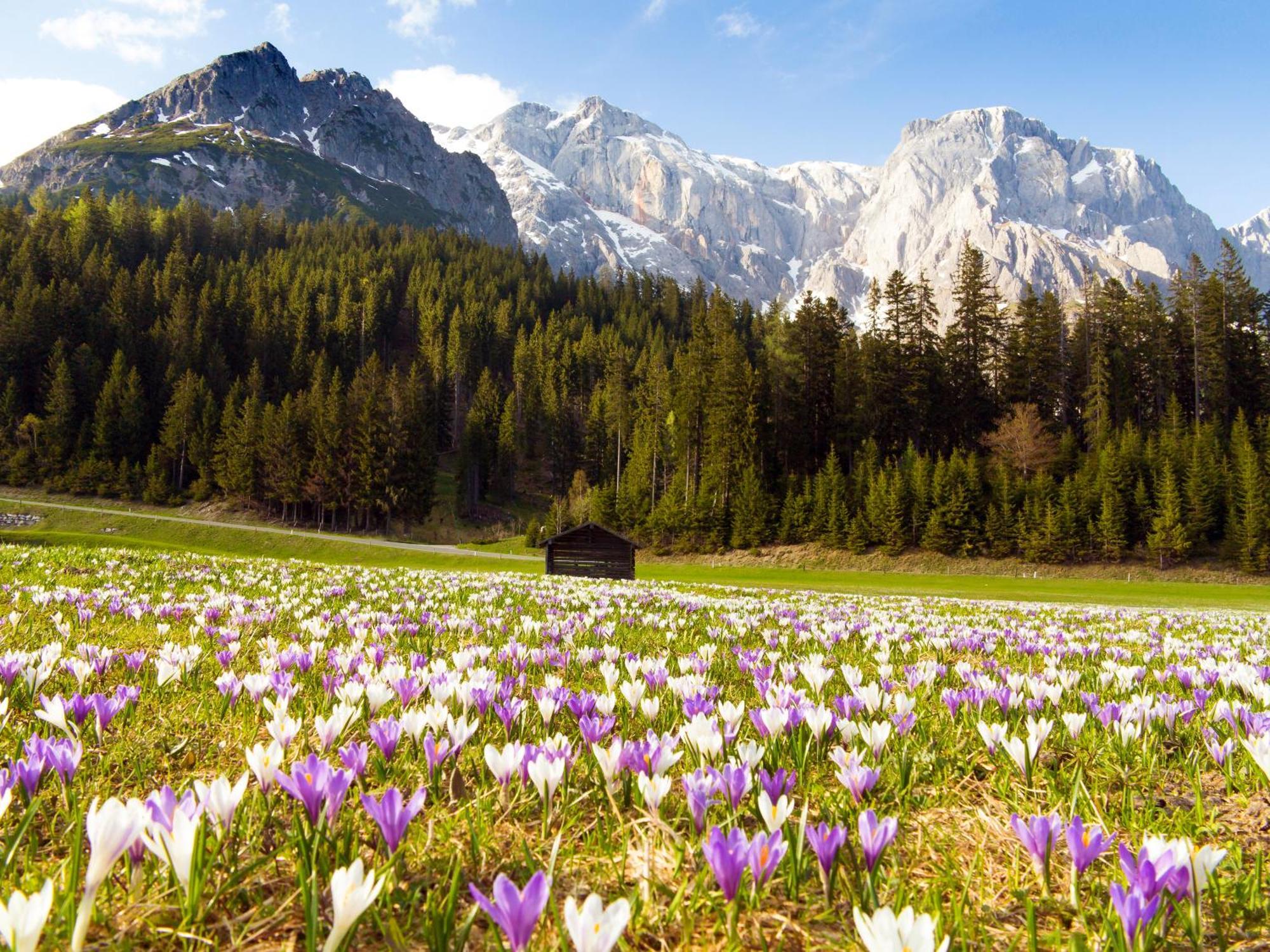 House Of Huetter - Wachtelhof & Spa Maria Alm am Steinernen Meer Ngoại thất bức ảnh
